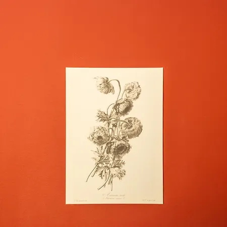 Sanbarto La Casa Del Borgo 住宿加早餐酒店 Cassano Irpino